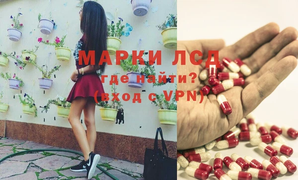 кокс Аркадак