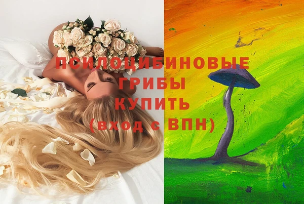 ECSTASY Армянск